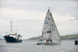 shadowfax gbr8930t whyw16 fri 800 5371w